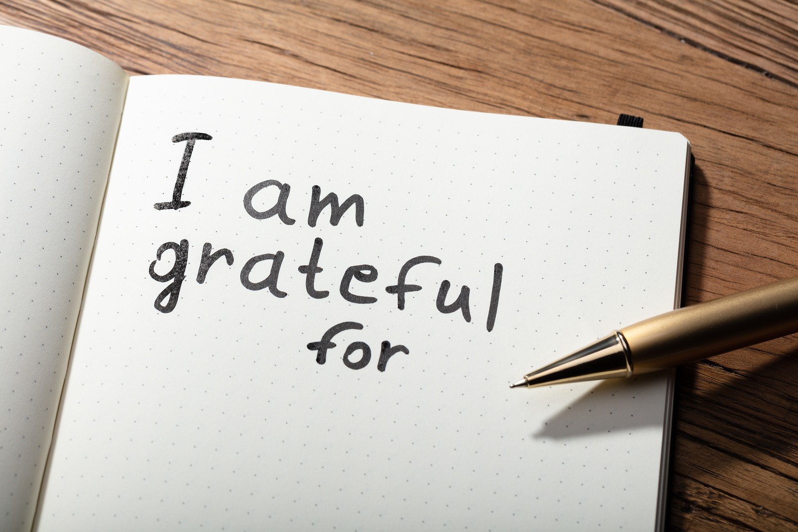 Notebook and pen with writing on it that says, "I am grateful for..." 